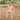 Coral  & Slate | lifestyle